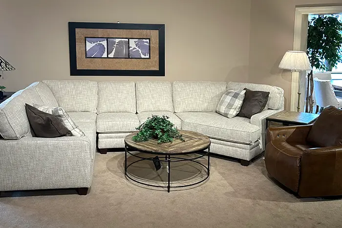Living Room Sectional and Chair